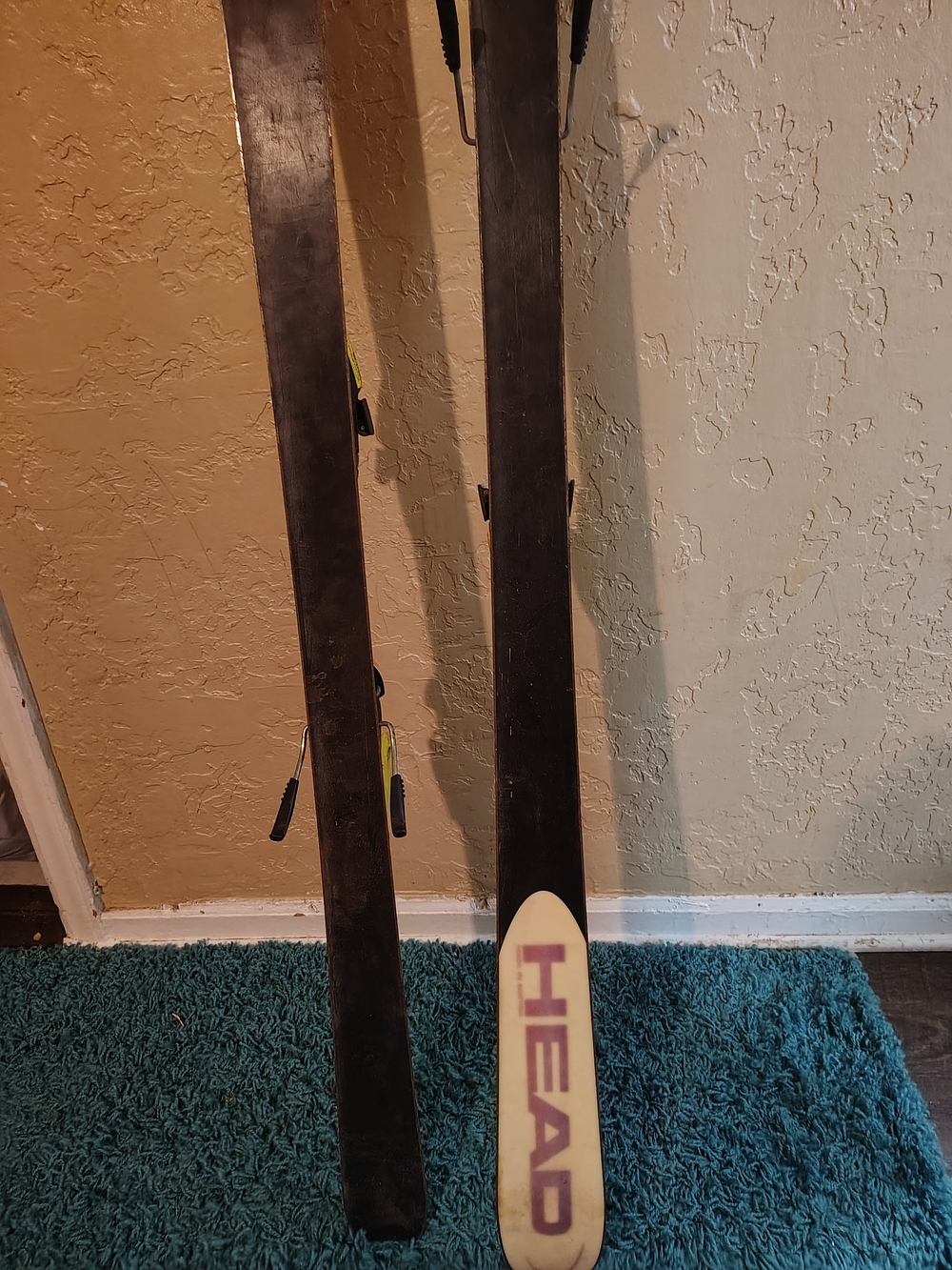 Head Ski Accent in Cream and Purple